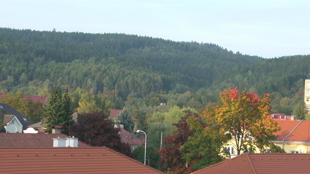 Apartments Meixner Mariánské Lázně Dış mekan fotoğraf